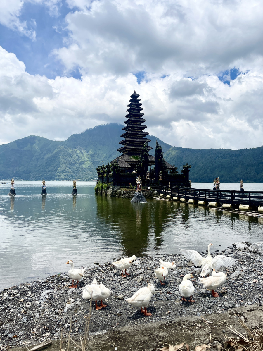 巴厘岛旅游带多少印尼盾，印尼巴厘岛旅游注意事项？